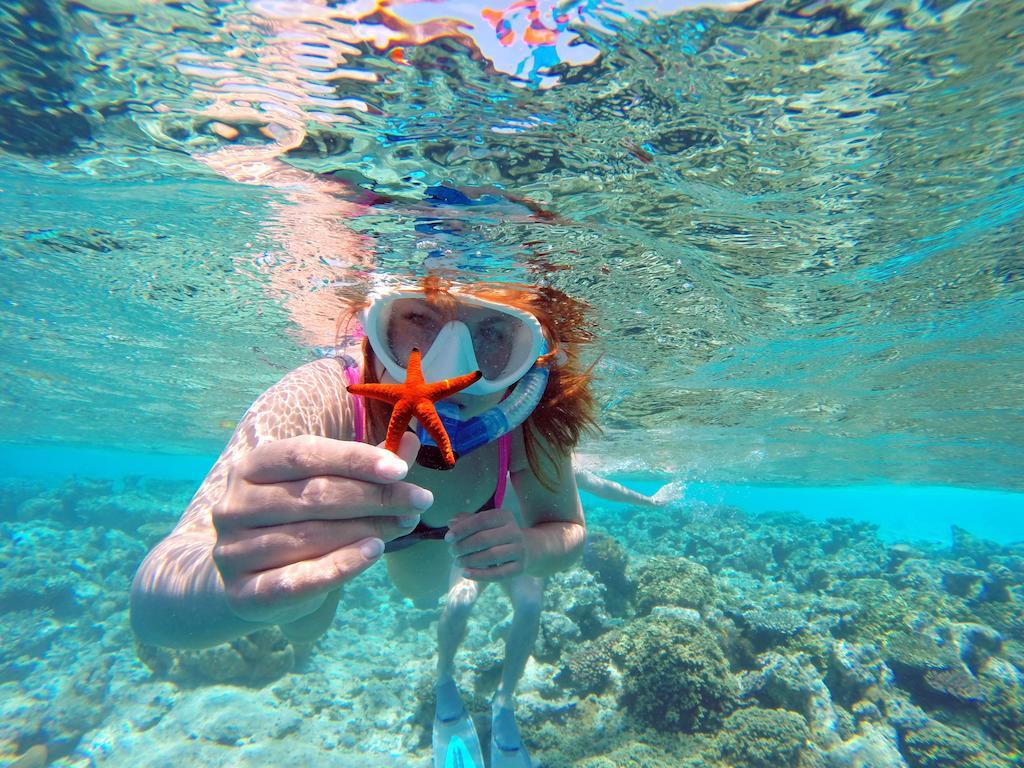 Fulidhoo La Perla Guest House מראה חיצוני תמונה